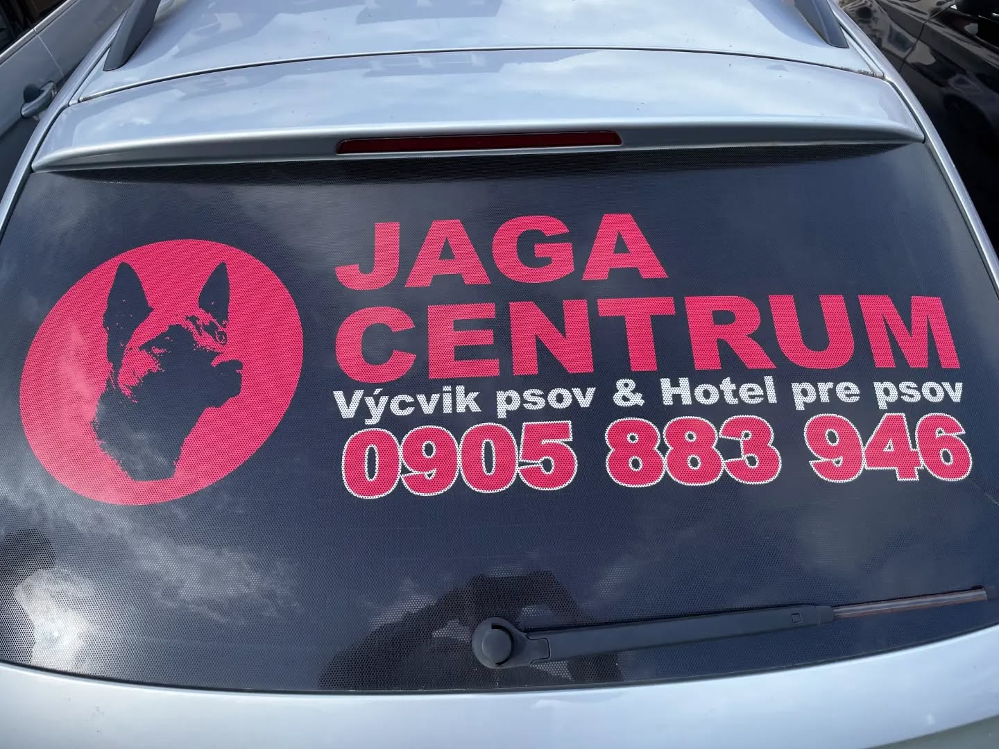 571802957 17977267628927833 6757867789214639374 n